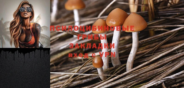 дурь Алексеевка