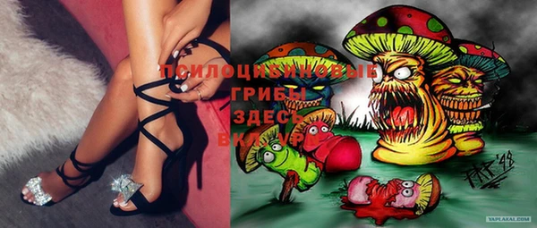 дурь Алексеевка