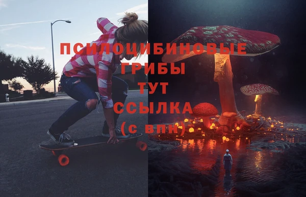 дурь Алексеевка