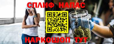 гидра Новозыбков