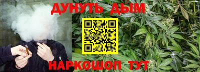 PSILOCYBIN Новодвинск