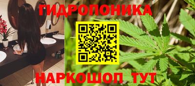 PSILOCYBIN Новодвинск