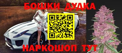 гидра Новозыбков