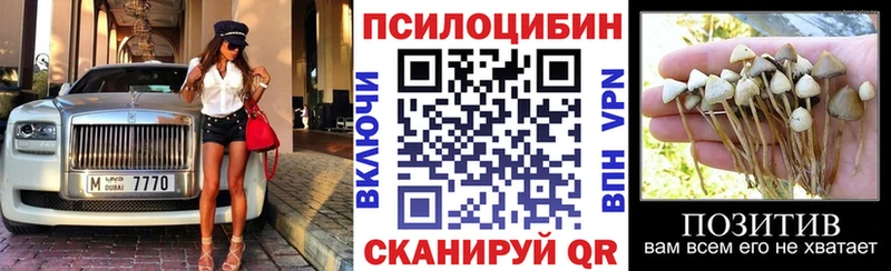 где продают   Углич  KRAKEN ССЫЛКА  Псилоцибиновые грибы Psilocybine cubensis 