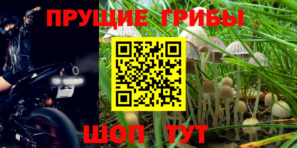 Углич  Псилоцибиновые грибы Magic Shrooms  Галлюциногенные грибы Psilocybe  Вход с VPN 