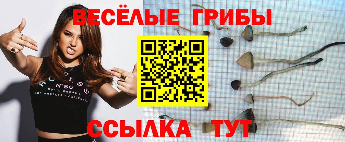 Галлюциногенные грибы ЛСД Углич